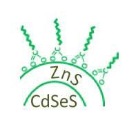 Cadmium sulfide selenide/Zinc sulfide quantum dots in solid form, Emission peak: 665nm, FWHM <35nm, QY >50%
