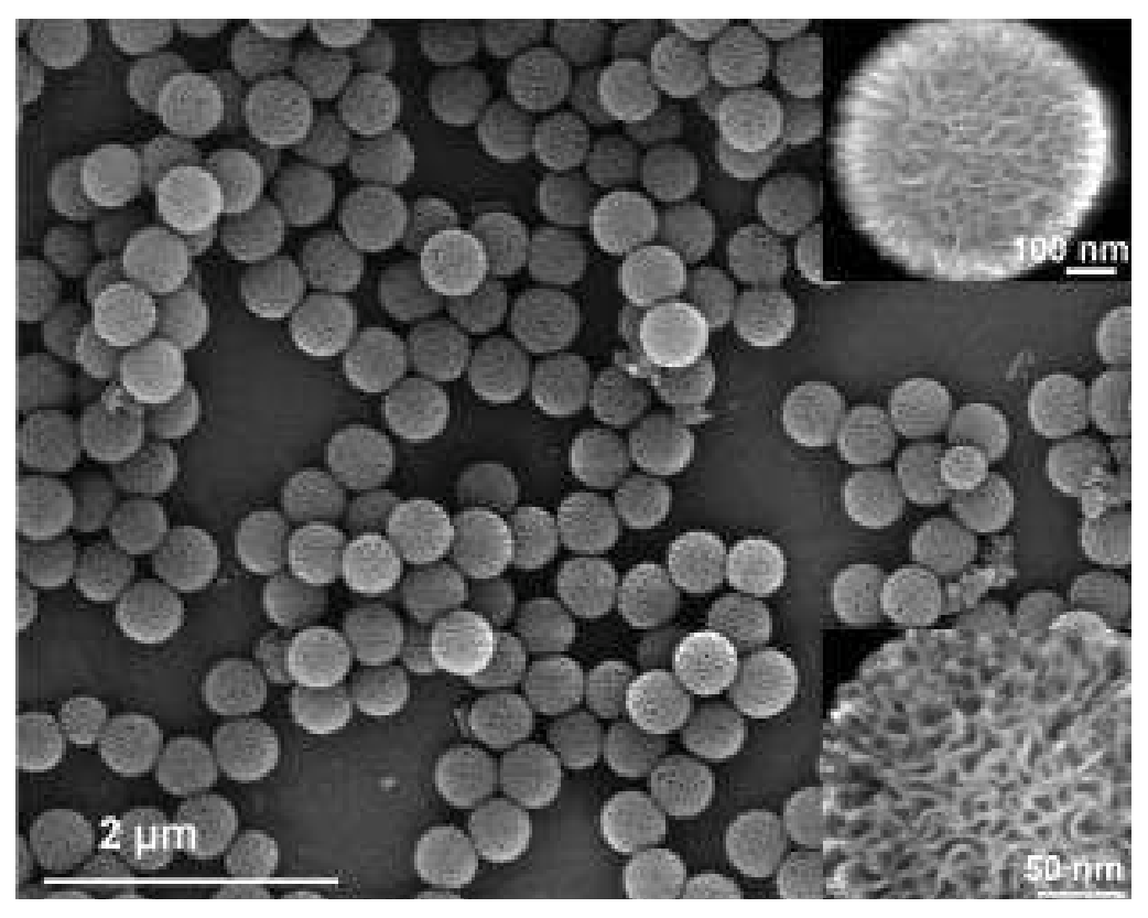 High Surface area silica nanoparticles, large, particle size ~900-1000 nm, surface area ~600 m²/g, (KCC-1 L2)