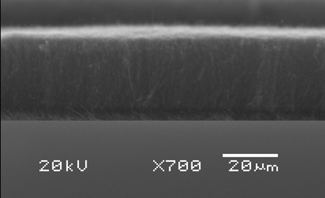 Carbon nanotube array, multi-walled, on quartz (diameter= 100nm, length=30 microns )