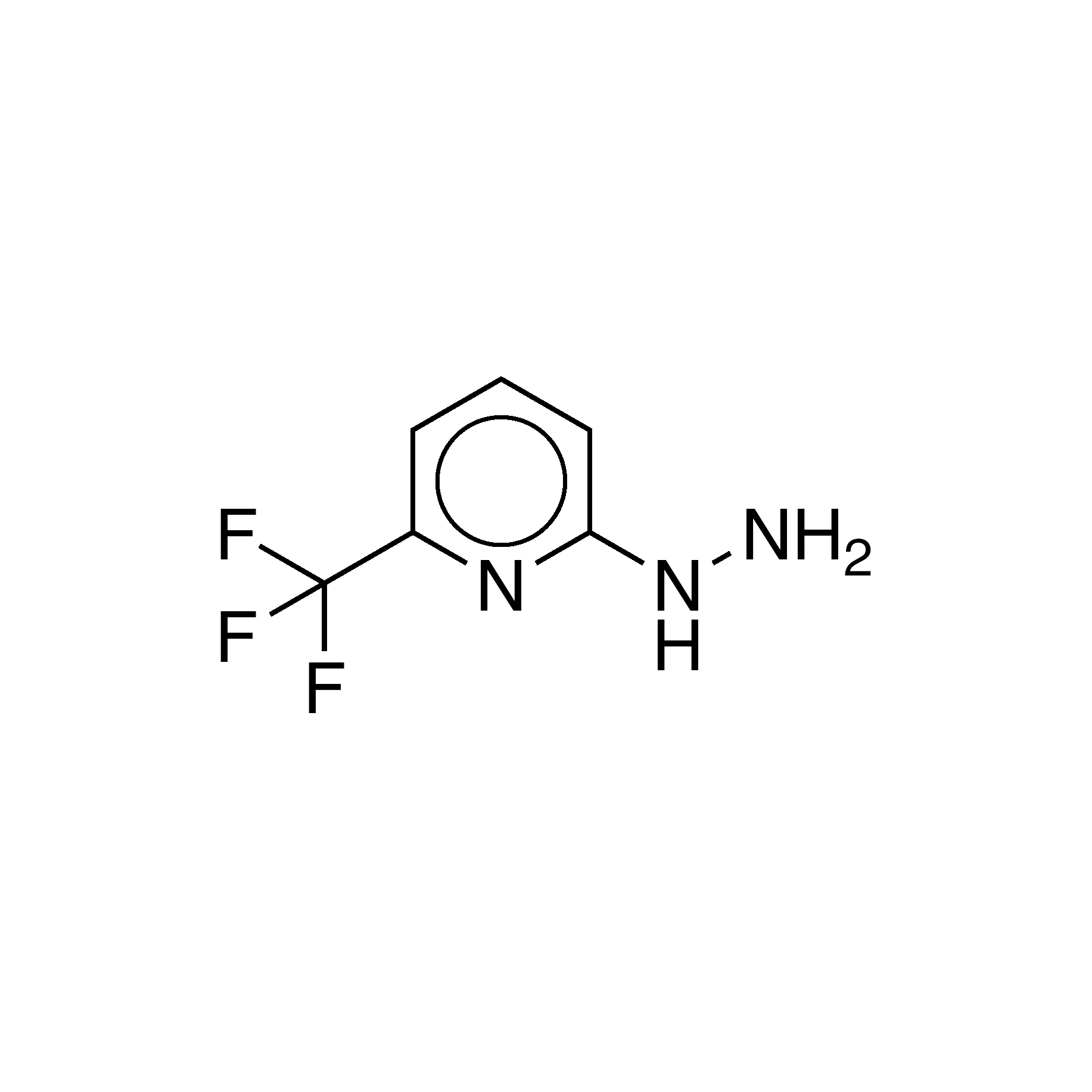 2-Hydrazino-6-(trifluoromethyl)pyridine, 95%