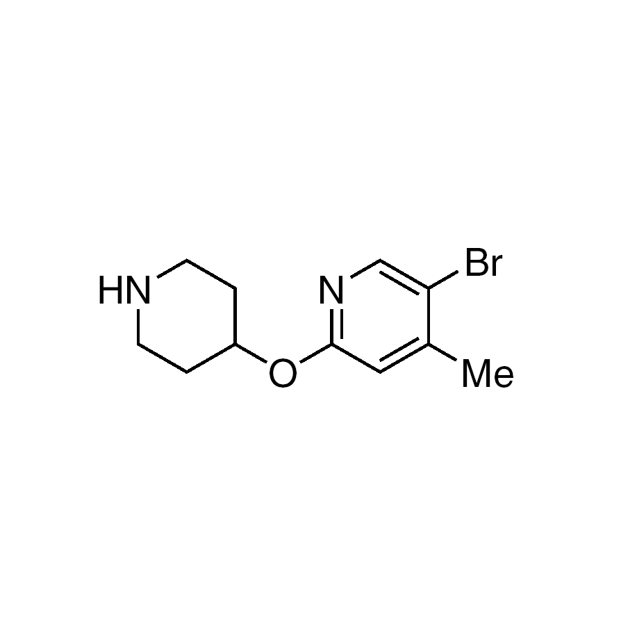 5-Bromo-4-methyl-2-(piperidin-4-yloxy)pyridine, 95%