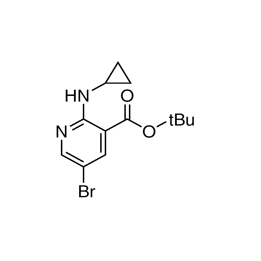 5-Bromo-2-cyclopropylamino-nicotinic acid tert-butyl ester, 95%