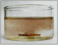 Palladium nanoparticles, pure,  (50-70nm) in acetone at 100mg/L (surfactant and reactant-free)