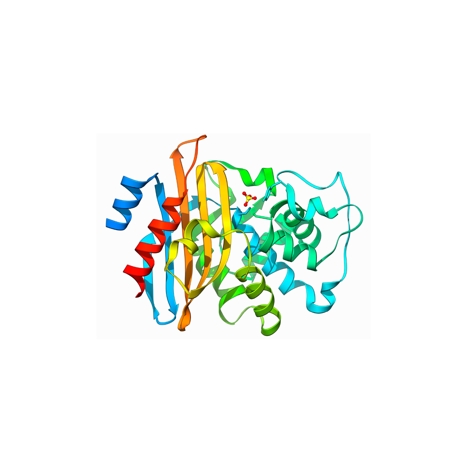 Enzyme carrier Lifetech™ ECR8204F