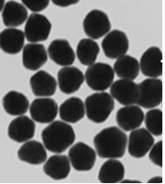 Gold Nanoparticles (5 nm diameter, 1 OD, stabilized suspension in phosphate-buffered saline, 515-520 nm abs. max.) reactant free