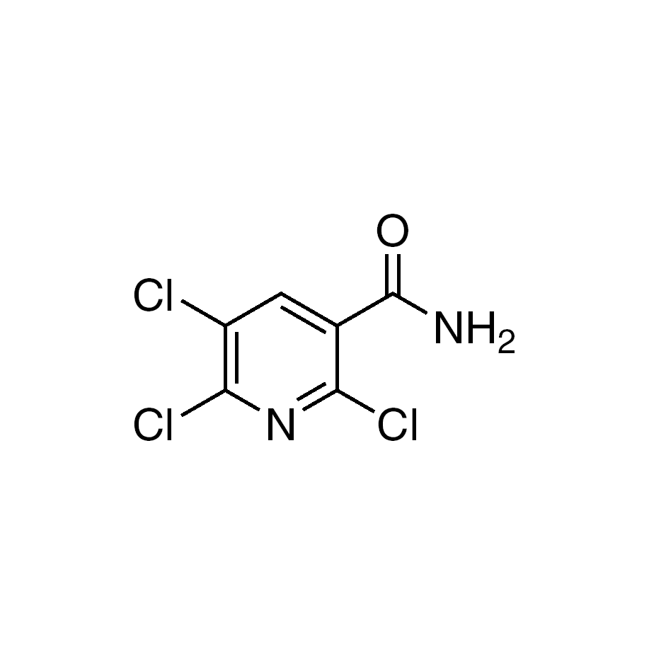 2,5,6-Trichloro-nicotinamide, 95%