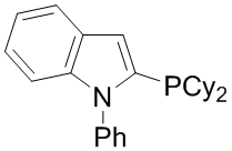 N-Phenyl-2-(dicyclohexyl­phosphino)indol, min. 95% [cataCXium® PInCy]