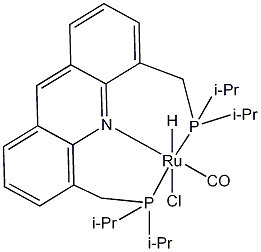 Chlorocarbonylhydrido[4,5-bis-(di-i-propylphosphinomethyl)acridine]ruthenium(II), min.98% Milstein Acridine Catalyst