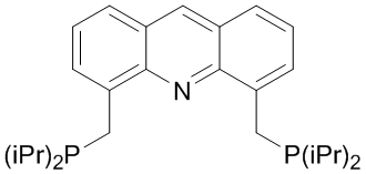 4,5-Bis-(di-i-propylphosphinomethyl)acridine, 98+%