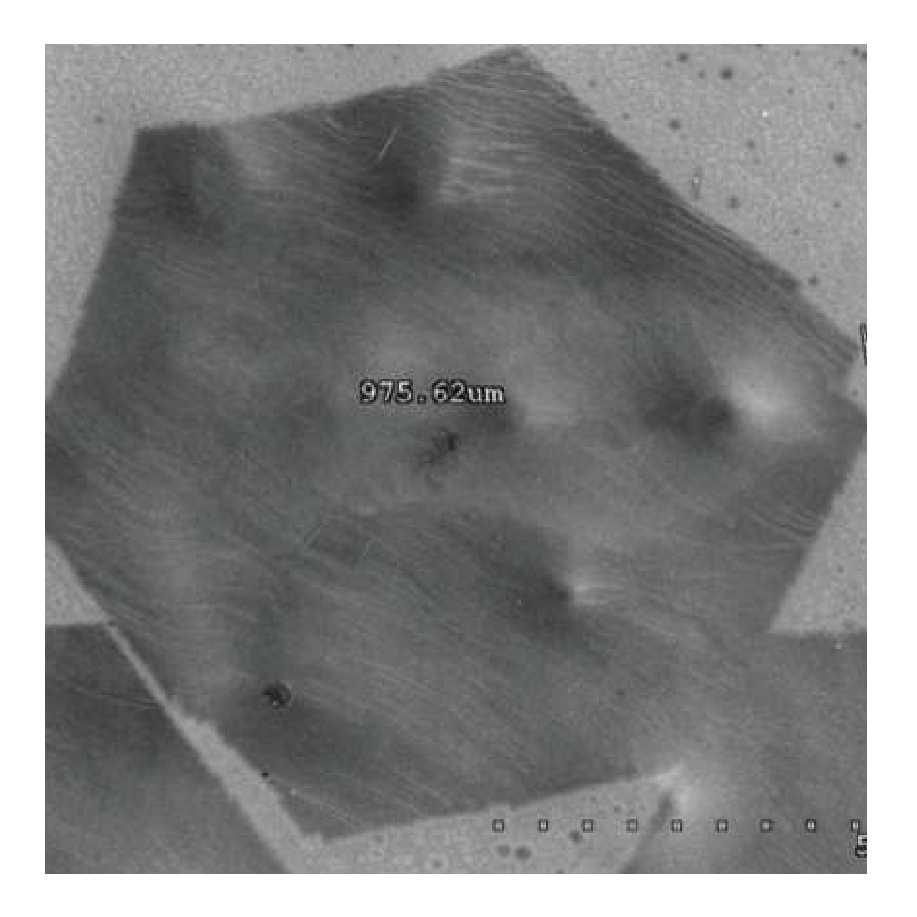Monolayer High Strength Metallurgical Graphene, HSMG®, on GLASS (10x10 mm)