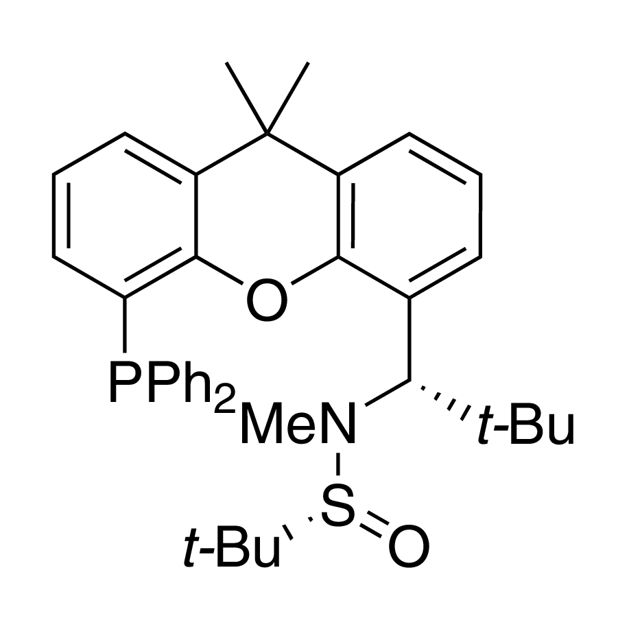 [S(R)]-N-[(S)-(2-(1-tert-Butylmethyl)][5-(diphenylphosphino)-9,9-dimethyl-9H-xanthen-4-yl]methyl]-N,2-dimethyl-2-propanesulfinamide, 95%