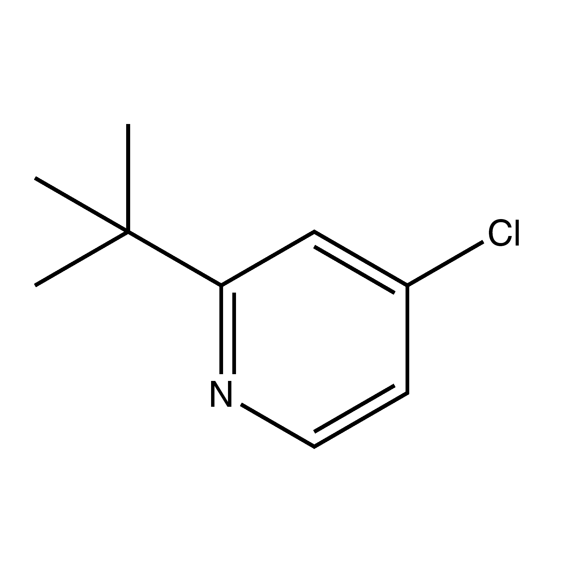 2-(tert-Butyl)-4-chloropyridine, 95%