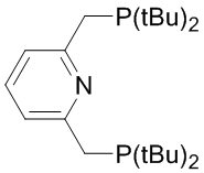 2,6-Bis(di-t-butylphosphinomethyl)pyridine, 99%